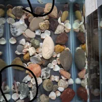 اکواریم شیشه خم