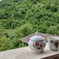 اجاره ویلا  ییلاقی وجنگلی تلار ماهیان