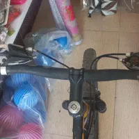 دوچرخه بامبو