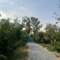 قطعات باغ ۲۵۰۰ متر و ۵۰۰ متر در شهریار میدان نماز|فروش زمین و ملک کلنگی|شهریار, رضی آباد پایین|دیوار