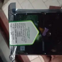 هارد یه ترابایت wd bule|قطعات و لوازم جانبی رایانه|تهران, جلیلی|دیوار