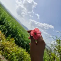 زمین کشاورزی