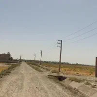 زمین کشاورزی گلخانه ورامین روستای خورین