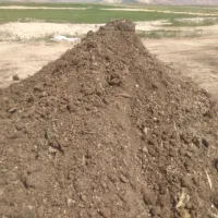 کود مرغ گوشتی|خدمات باغبانی و درختکاری|شیراز, گل سرخ|دیوار