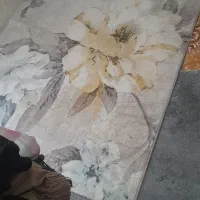 یک عددگلیم فرش ۴ متری کارکرده ولی تمیز