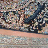 ۵عدد فرش ۶ متری ۷۰۰ شانه|فرش|کرمانشاه, |دیوار