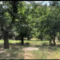 لواسان معاوضه و فروش 1150 متر باغ ویلایی دنج