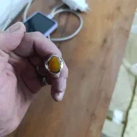 نقره شرف سمس
