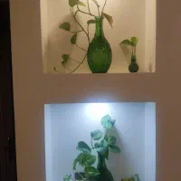 گلدان|گل و گیاه طبیعی|کاشان, فاز ۲ ناجی آباد|دیوار