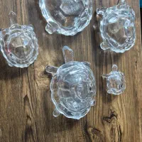 خانواده لاک پشت کریستال