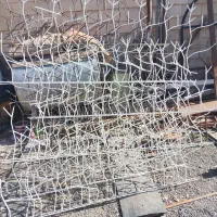 تولیدی حفاظ شاخ گوزنی