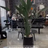 خدمات تخصصی رنگ و لایت