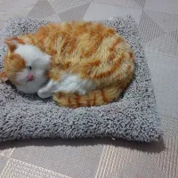 اسباب بازی گربه صدا دار