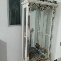 بوفه چوب راش تمیز،دارای چراغ سقفی پر نور