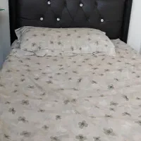 ۲ عدد تخت یک نفره