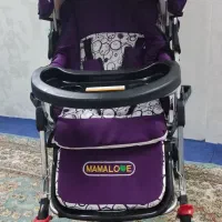 کالسکه دلیجان|کالسکه و لوازم جانبی|تهران, بهداشت|دیوار