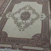 تلویزیون پاناسونیک|تلویزیون و پروژکتور|شیراز, قدوسی شرقی|دیوار