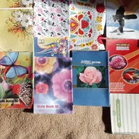 کتاب تستی انسانی و دفتر