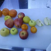 آموزش دستیار طب سنتی خانم