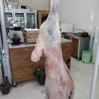 پروتینی وگوشت رامین
