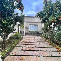 مدرن نقلی و ارزان(۳میلیارد)