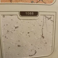 نقاش مولتی کالر