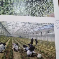 فروش گلخانه مدرن صنعتی تمام اتوماتیک