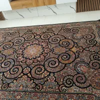 فرش ۷۰۰ شانه در حد نو|فرش|همدان, |دیوار