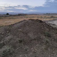 کود گوسفندی