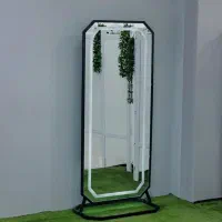 اینه قدی پایه عصایی پایه دار دیواری|آینه|تهران, نعمت‌آباد|دیوار