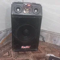 اسپیکر بزرگ فلش خور