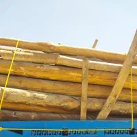 خرید چوب انواع درخت و چوب سقفی|عمدهفروشی|مشهد, بهمن|دیوار