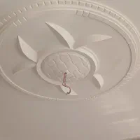 گچکاری کناف گچ کاری نقاشی وسفیدکاری،حرفه ای،همدانی|خدمات پیشه و مهارت|شیراز, قصرالدشت|دیوار