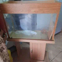 اکواریوم کابیت دار رنگ قهوه ای