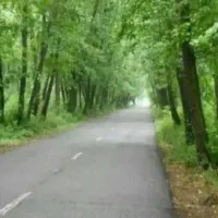 فروش زمین ۳۱۰متری با بنای ۷۶متری در سیاهکل