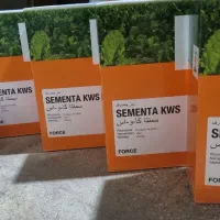 بذر چغندر سمنتا