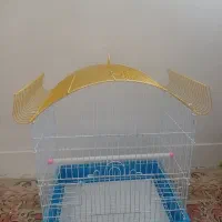 قفس نو