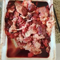 خرده لاشه گرم گاو و گوسفند