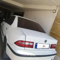 سمند معمولی ۸۹