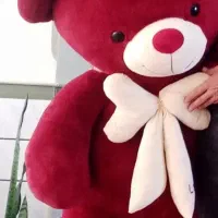 عروسک خرسی بزرگ