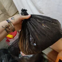 وسایل خوکچه هندی و خرگوش|لوازم جانبی حیوانات|تهران, امیریه|دیوار