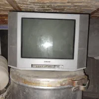 تلوزیون سونی