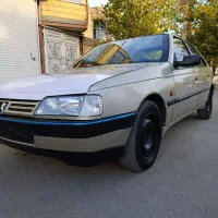 405 84 بژ استثنایی