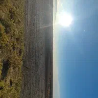 زمین-کشاورزی