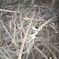 خریدار هرگونه چوب هرسی و....|خدمات باغبانی و درختکاری|شهریار, دهشاد بالا|دیوار