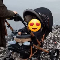 کالسکه دلیجان