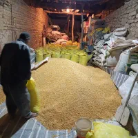 سویا و ذرت برزیلی