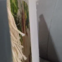 تابلو فرش کوچک|تابلو فرش|کرمانشاه, |دیوار