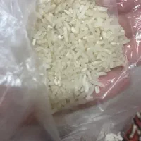 لاشه دم سیاه