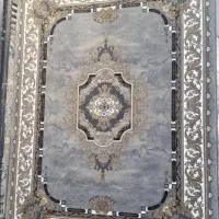 فرش*محمدطاها*|فرش|فریدونشهر, |دیوار